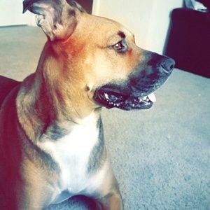 Meet your Posher, Khadejah